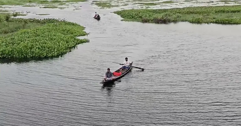 আড়িয়াল বিল